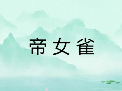 帝女雀