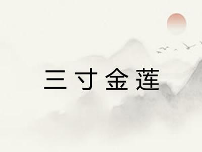 三寸金莲