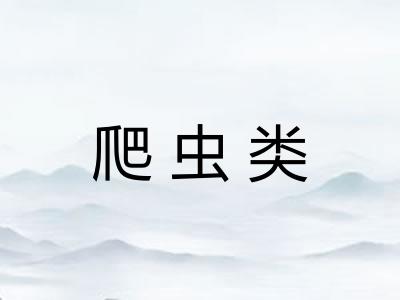 爬虫类
