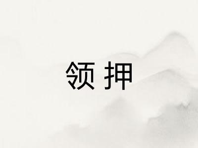 领押