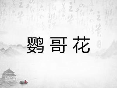鹦哥花