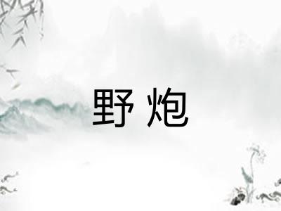 野炮