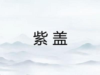 紫盖
