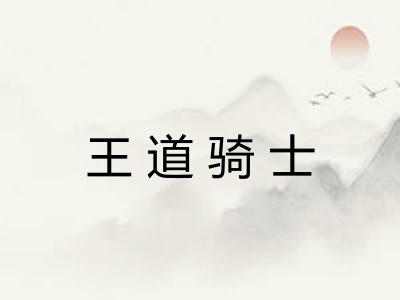 王道骑士