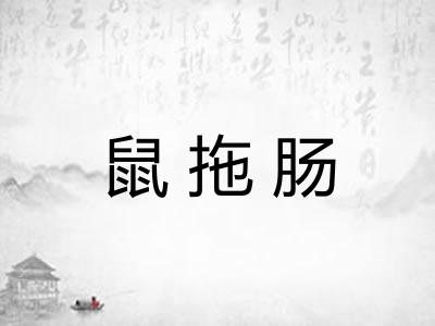 鼠拖肠