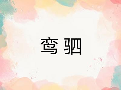 鸾驷