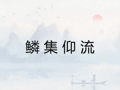 鳞集仰流