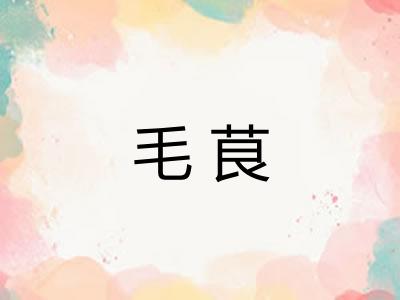 毛茛
