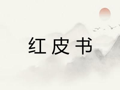 红皮书