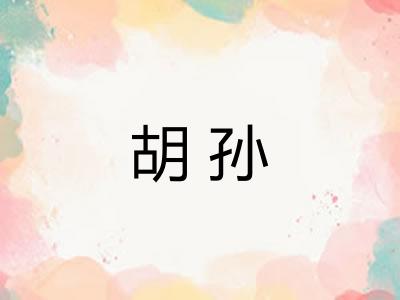 胡孙