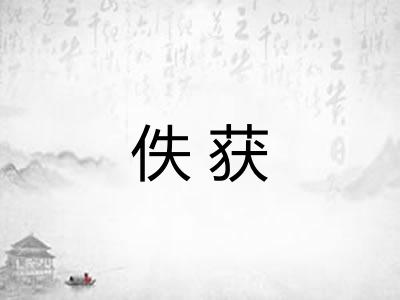 佚获