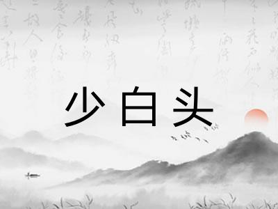 少白头