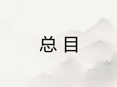 总目
