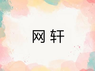 网轩