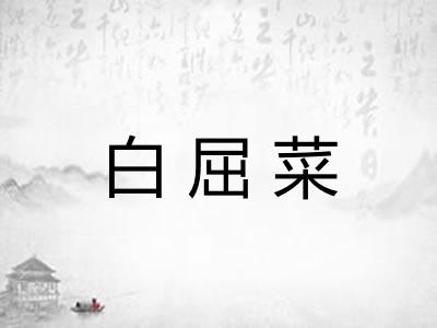 白屈菜
