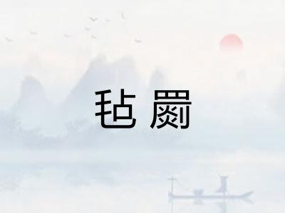 毡罽