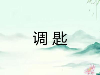 调匙