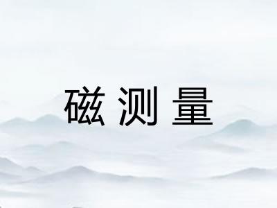 磁测量