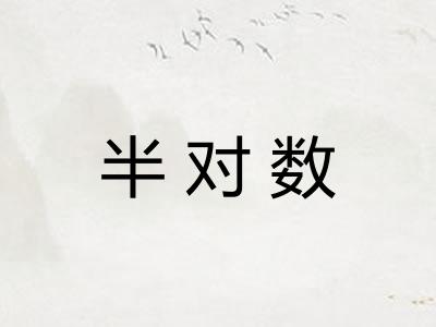 半对数