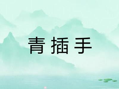 青插手