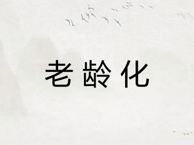 老龄化