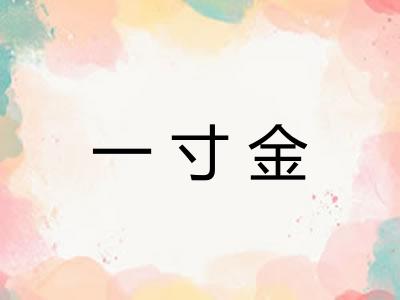 一寸金