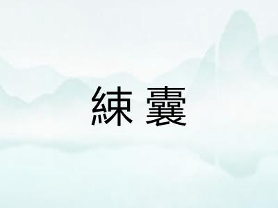綀囊