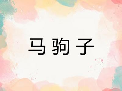 马驹子