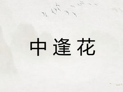 中逢花