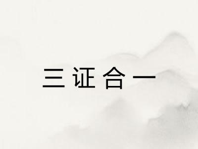 三证合一
