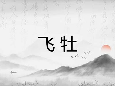 飞牡