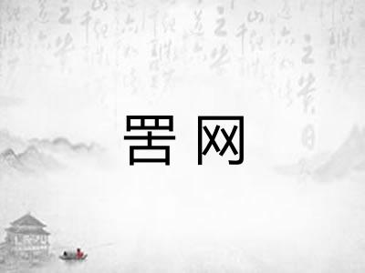 罟网