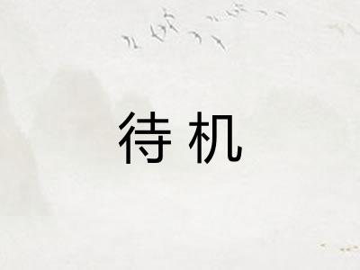 待机