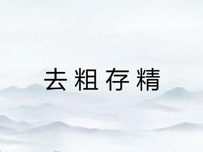去粗存精