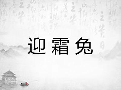迎霜兔