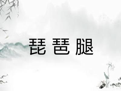 琵琶腿