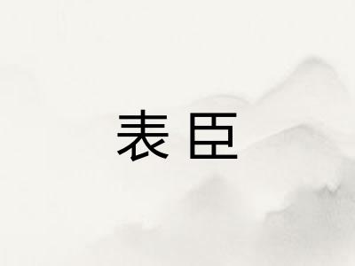 表臣