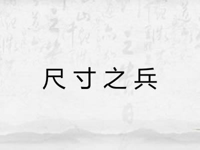 尺寸之兵