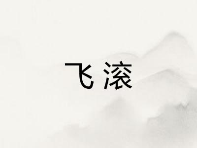 飞滚