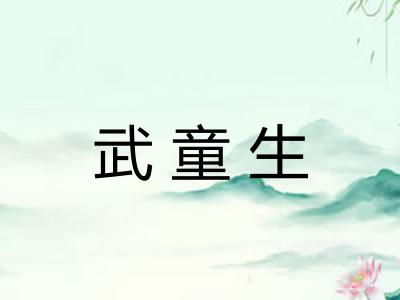 武童生