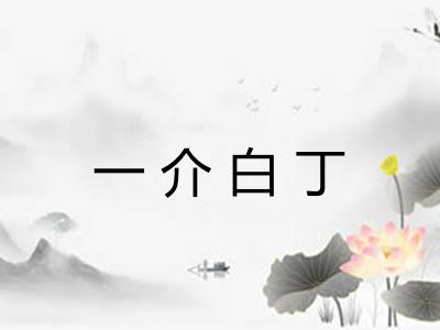 一介白丁