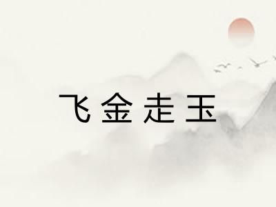 飞金走玉
