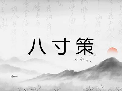 八寸策