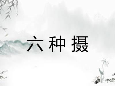 六种摄