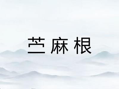 苎麻根