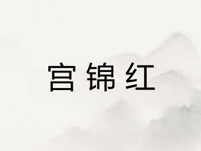 宫锦红