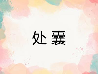 处囊