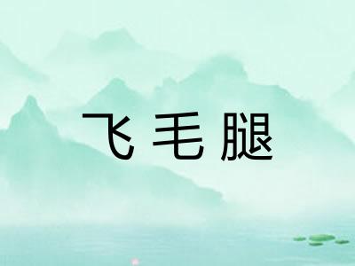 飞毛腿