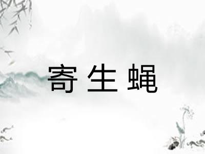 寄生蝇