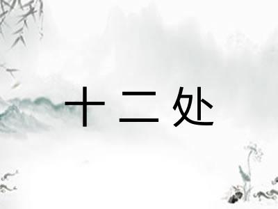十二处